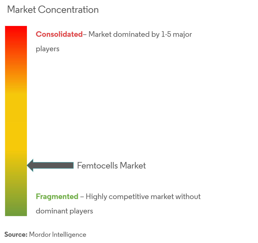 Femtocell Market Concentration Femtocell Market Concentration