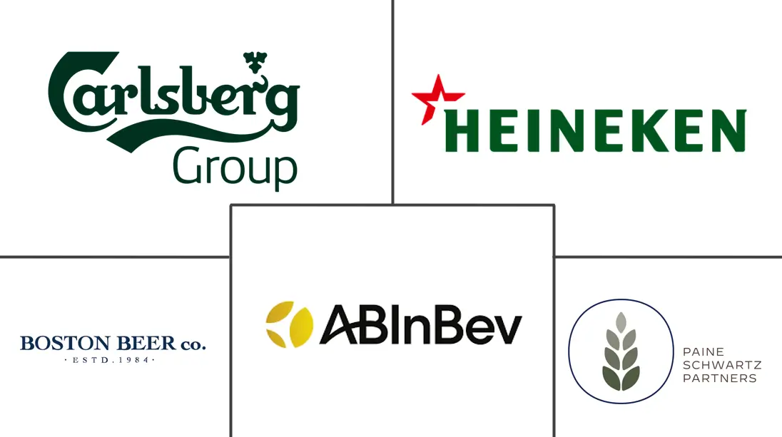 Major players in Fermented Drinks industry