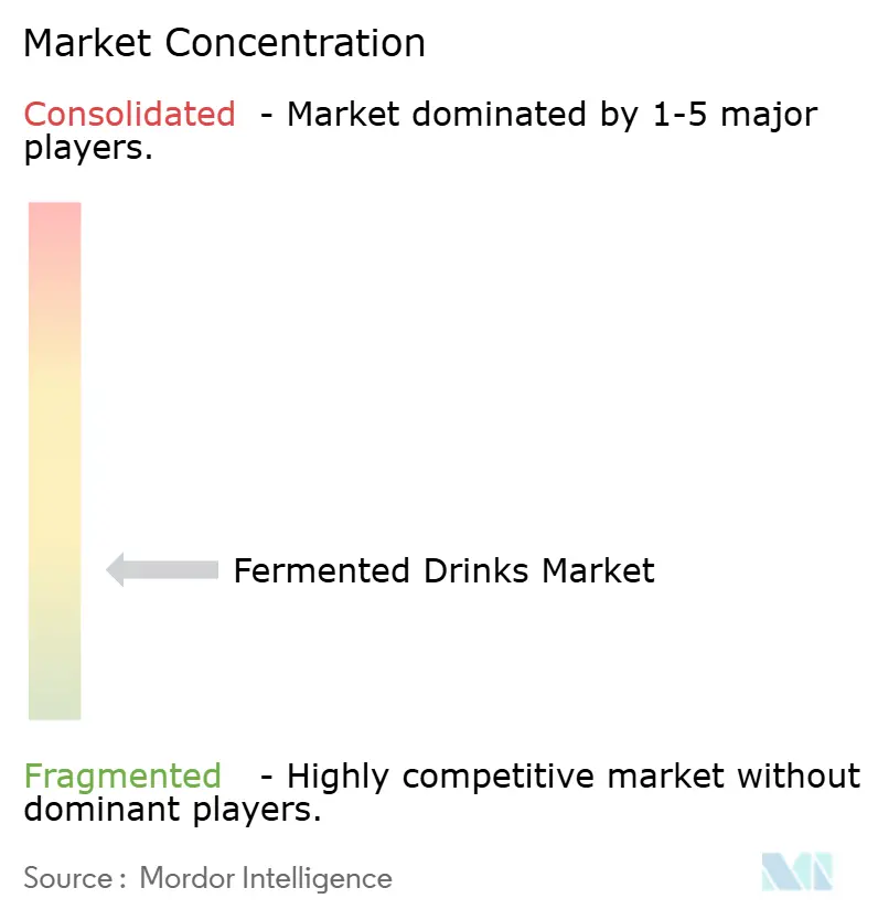 Fermented Drinks Market Concentration