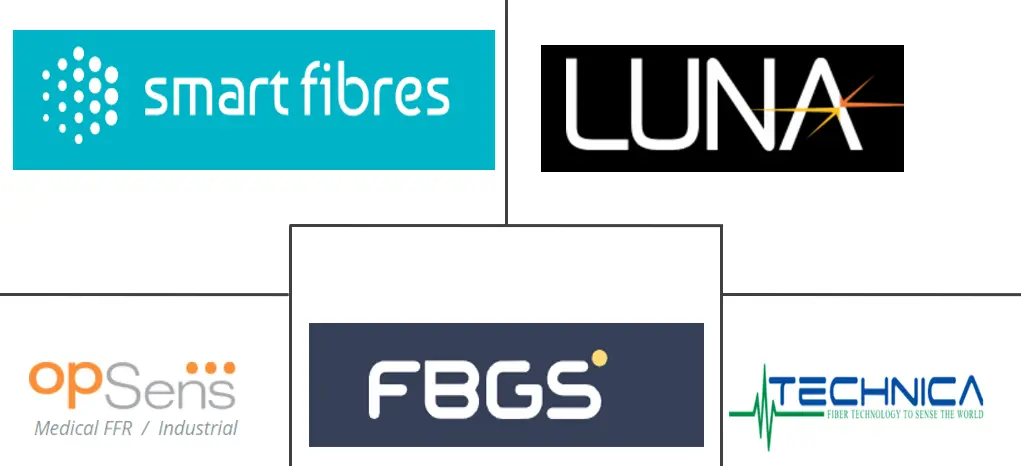 Major players in Fiber Bragg Grating Sensor industry