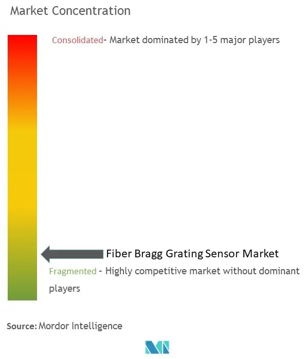 Sensor de rejilla de Bragg de fibraConcentración del Mercado