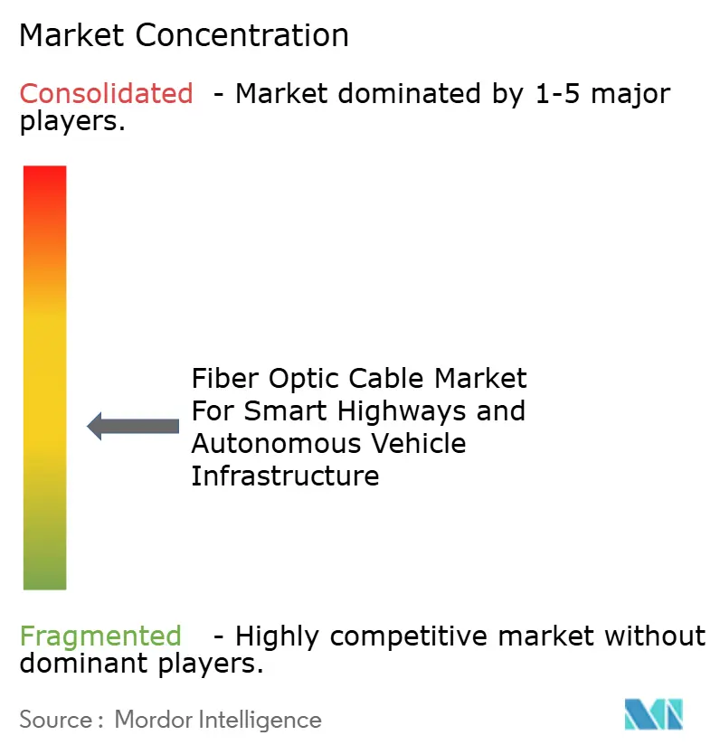 Concentração de Mercado de Cabos de Fibra Óptica para Rodovias Inteligentes e Infraestrutura de Veículos Autônomos
