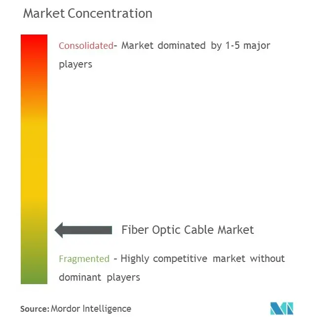 Fiber Optic Cable Market Concentration