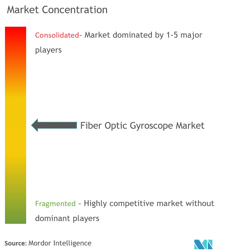 Fiber Optic Gyroscope Market Concentration