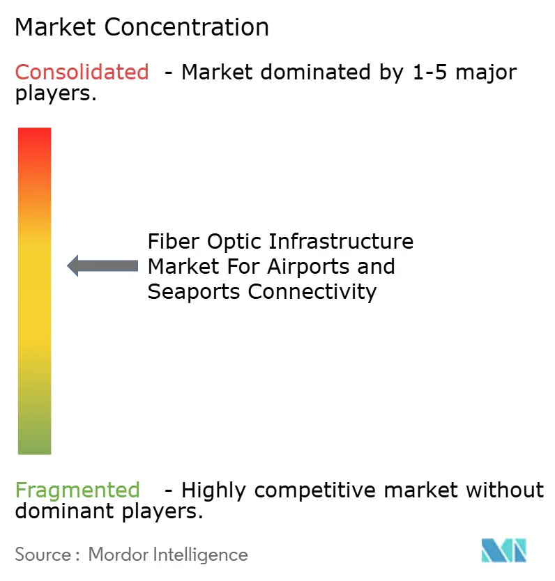 Fiber Optic Infrastructure Market For Airports and Seaports Connectivity Market Concentration