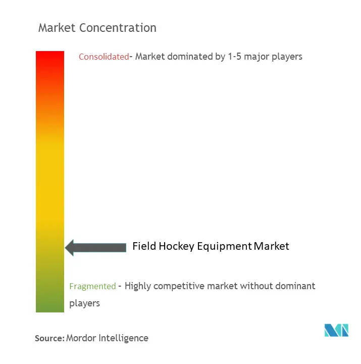 Field Hockey Equipment Market Concentration