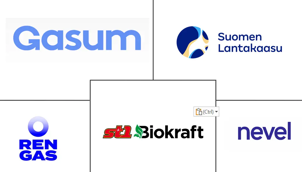 Major players in Finland Renewable Gas From Waste industry