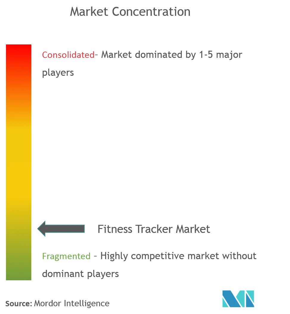  Fitness Tracker Market Concentration