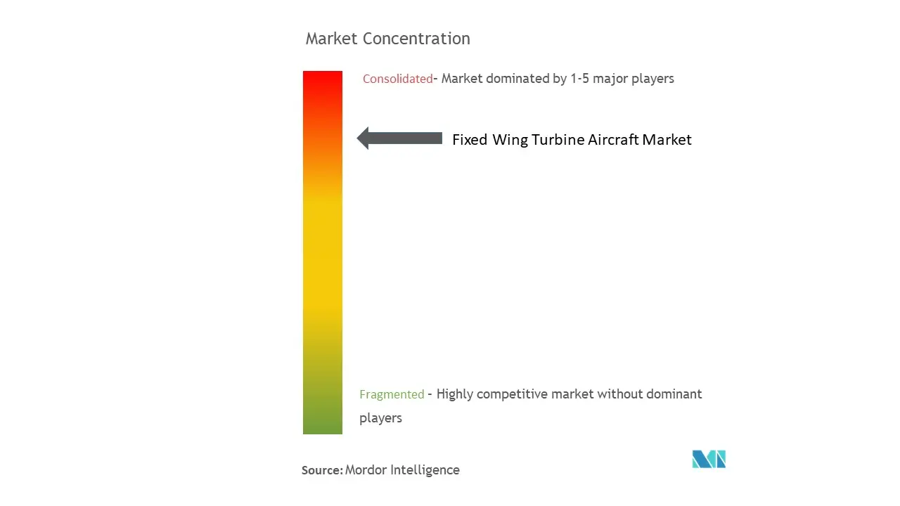 Fixed Wing Turbine Aircraft Market Concentration