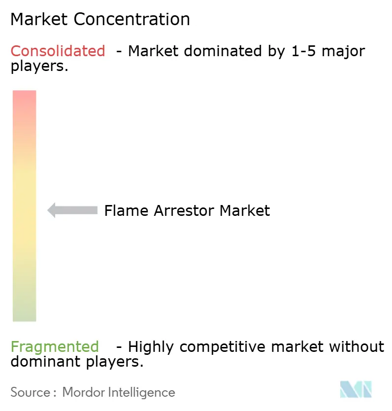 Flame Arrestors Market Concentration