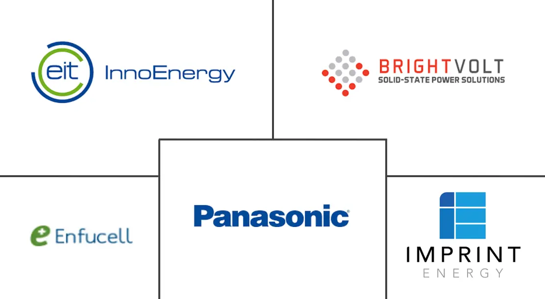 Flexible Battery Market Major Players