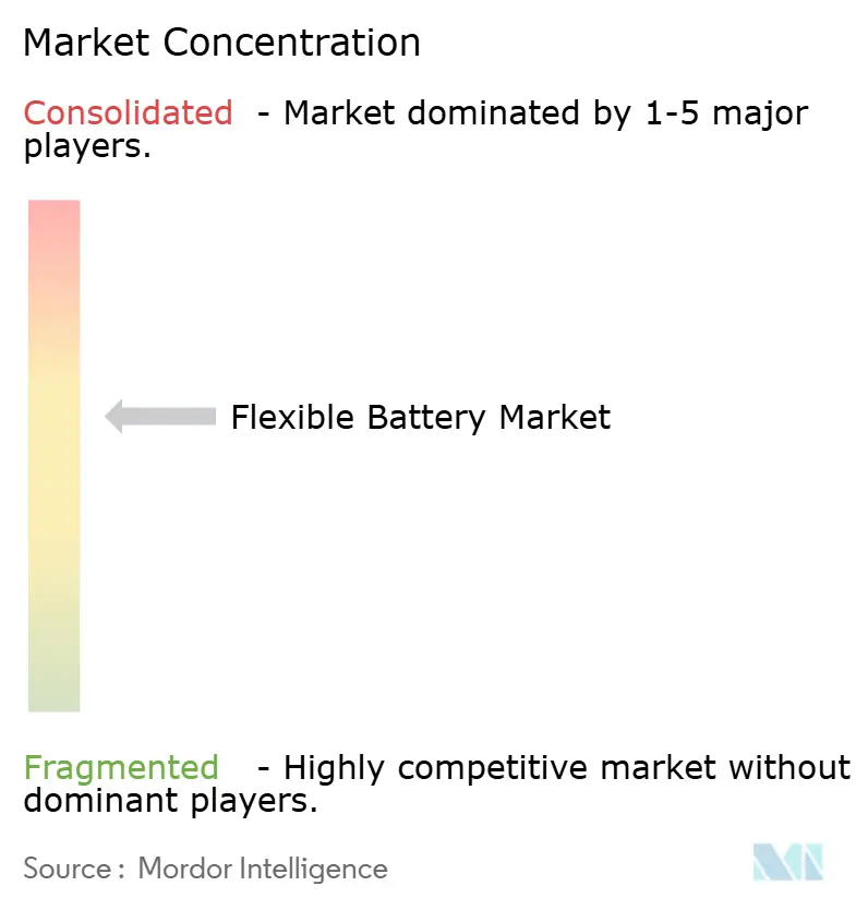 Flexible Battery Market Concentration