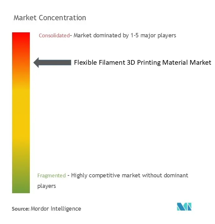 Flexible Filament 3D Printing Material Market Concentration