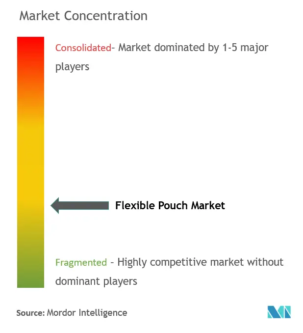Flexible Pouch Market Concentration