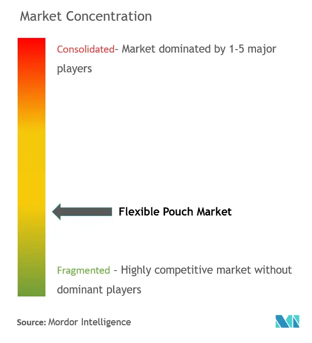 フレキシブル・パウチ市場の集中度