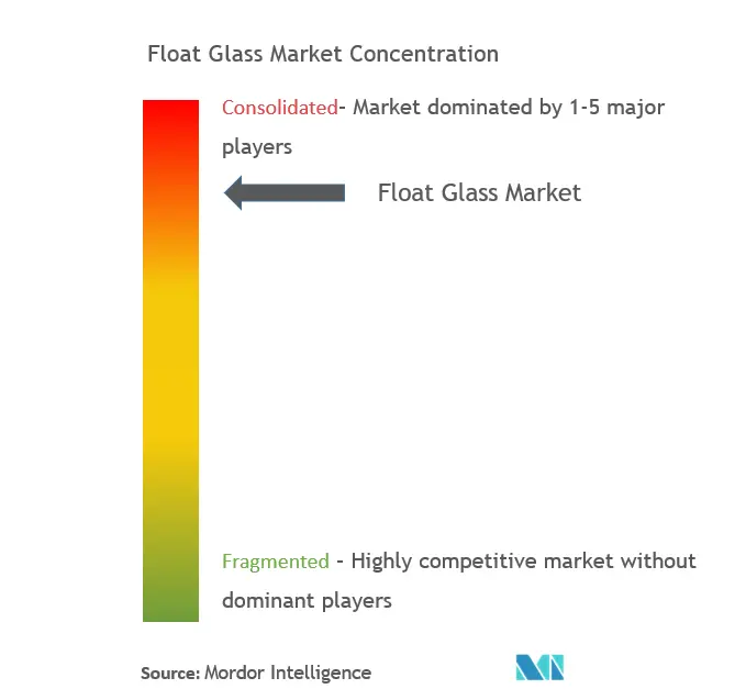 Float Glass Market - Market Concentration.png