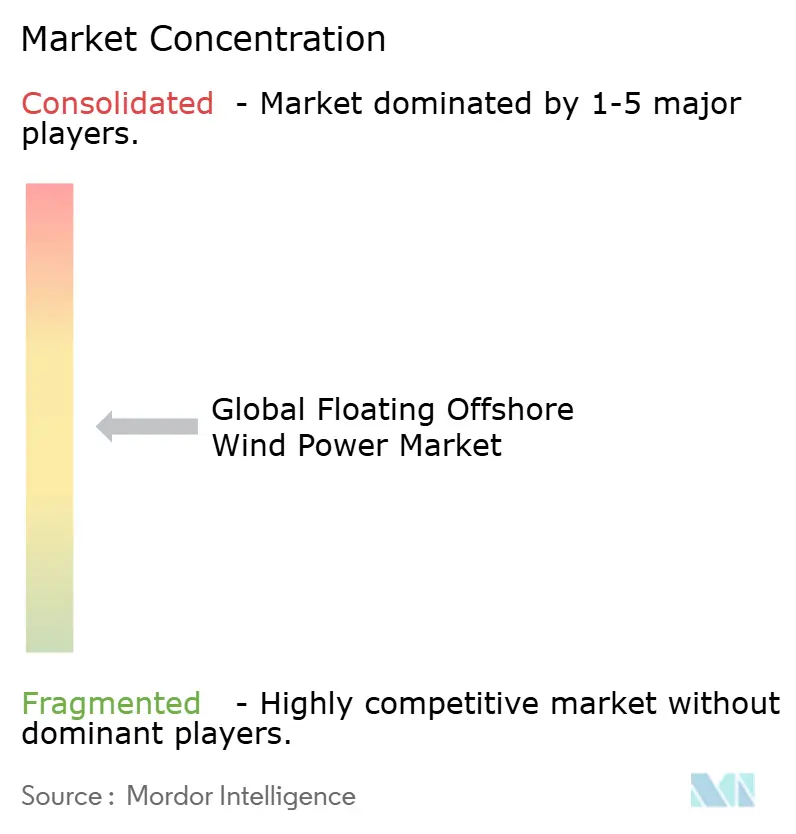 Floating Offshore Wind Power Market Concentration