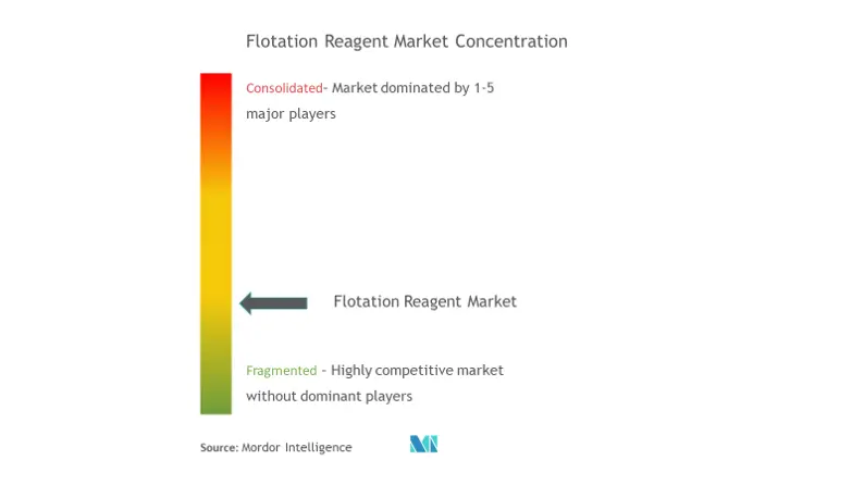 Market Concentration - Flotation Reagent Market.png