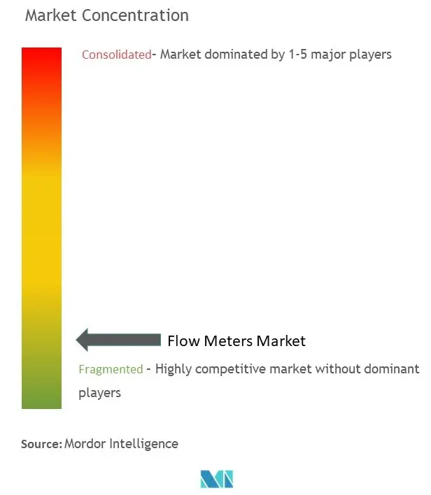 Flow Meters Market Concentration