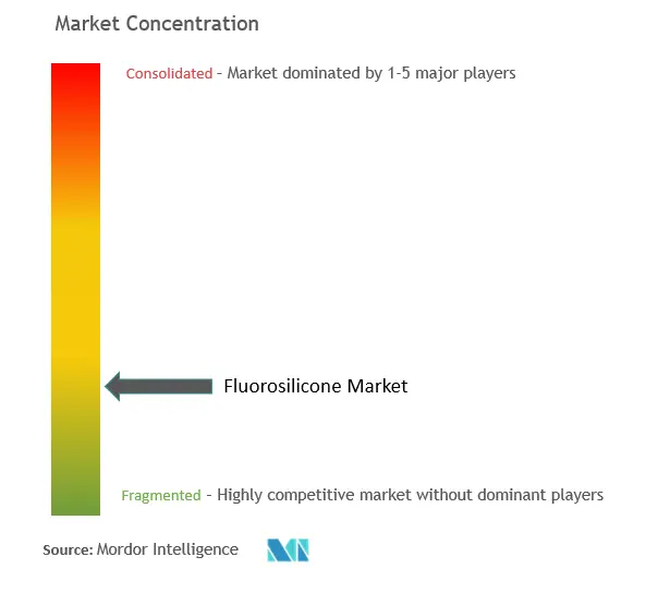 Fluorosilicone Market Concentration