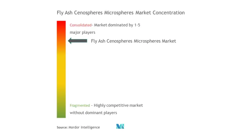 Concentration du marché des microsphères de cendres volantes (cénosphères)