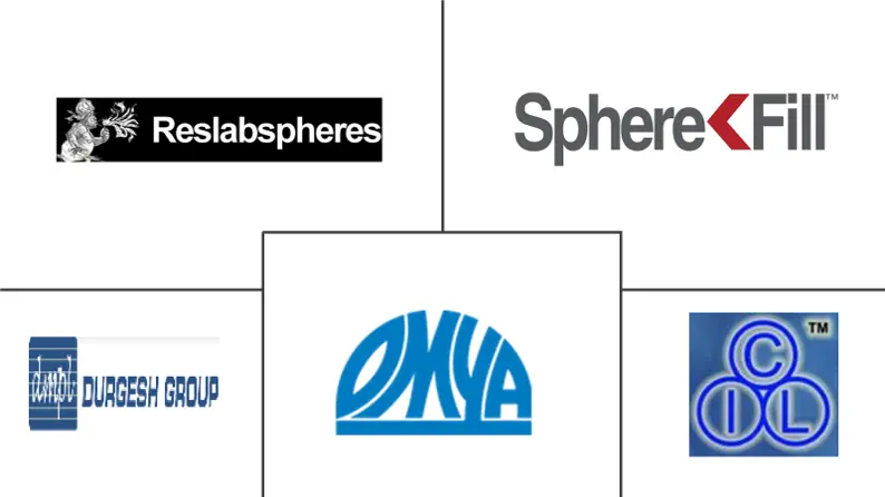 Principaux acteurs dans Marché des microsphères de cendres volantes (cénosphères) industrie
