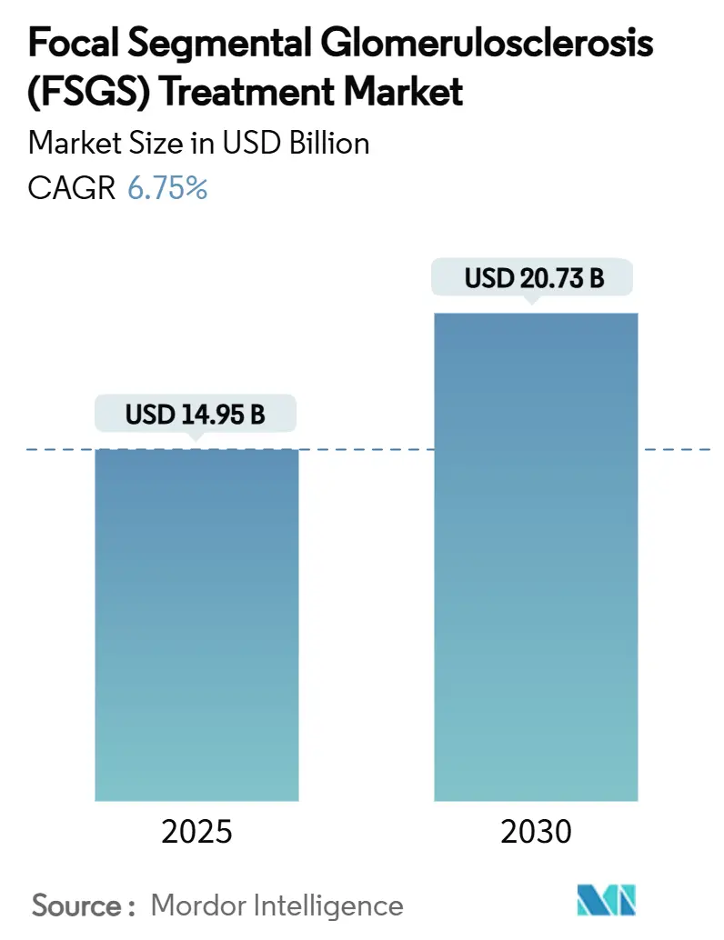 국소성 분절성 사구체 경화증(FSGS) 바카라 토토 시장(2025-2030)