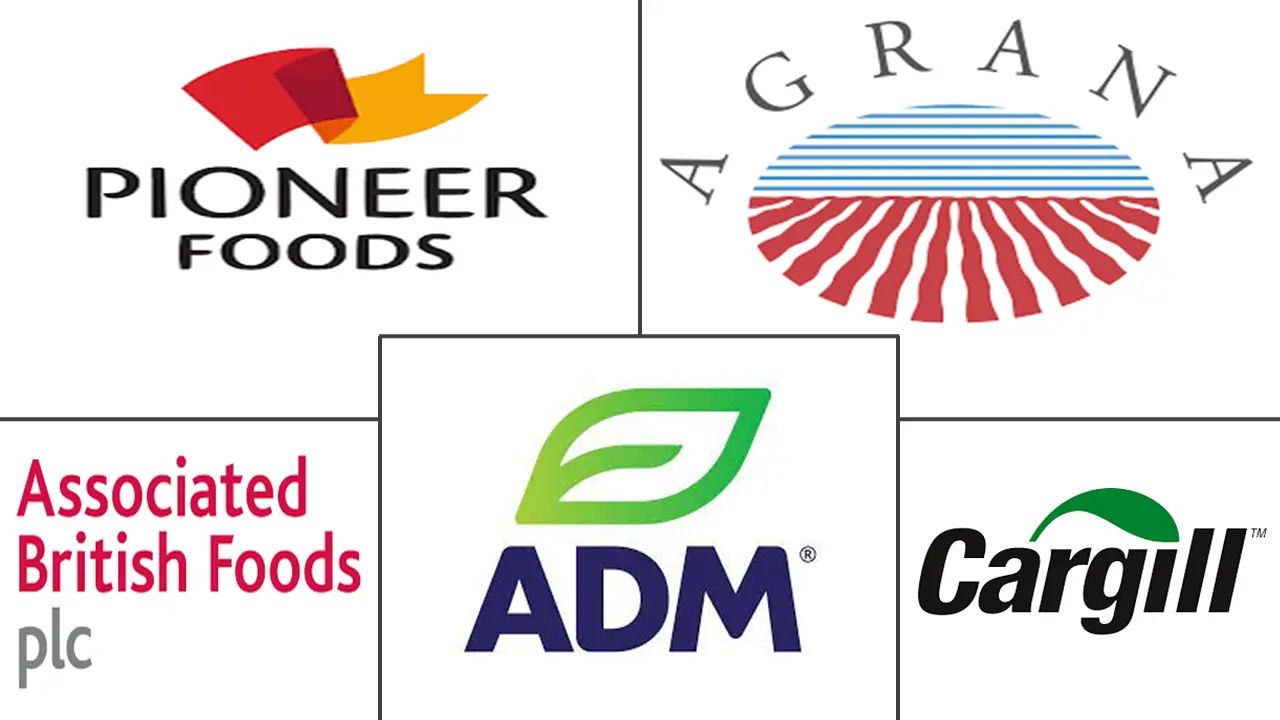 Food Coating Ingredients Market Major Players
