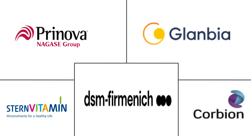 Major players in Food Premix industry
