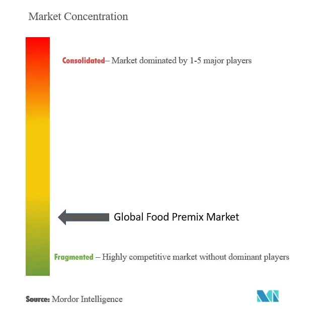 Food Premix Market Concentration