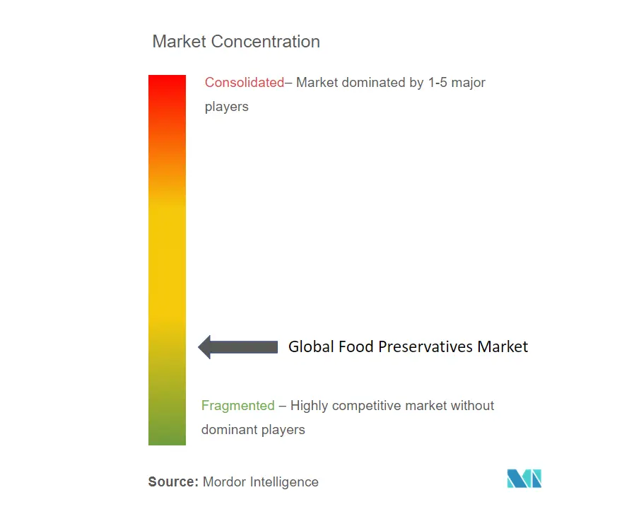 Global Food Preservatives Market_Market Concentration.png