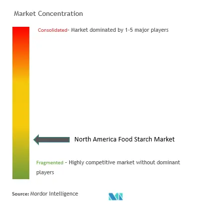 North America Food Starch Market Concentration