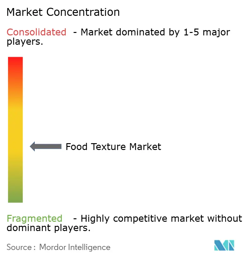 Food Texture Market Concentration