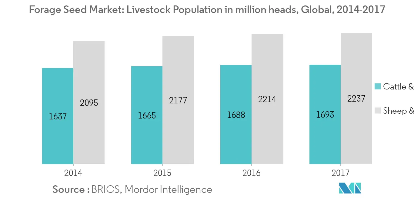 Forage Seed Market - Revenue Share (%), by Crop Type, 2019