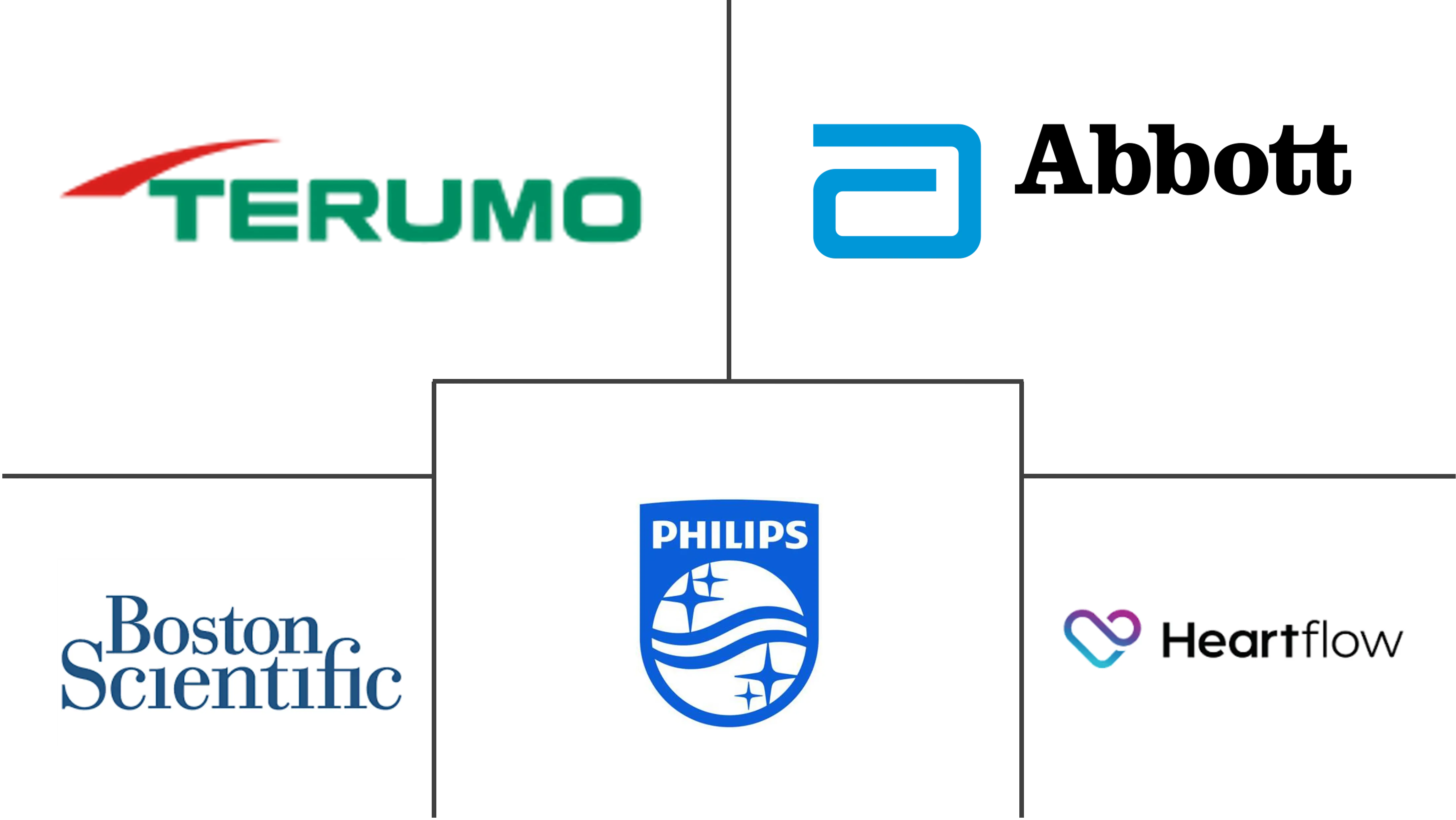 Major players in Fractional Flow Reserve industry