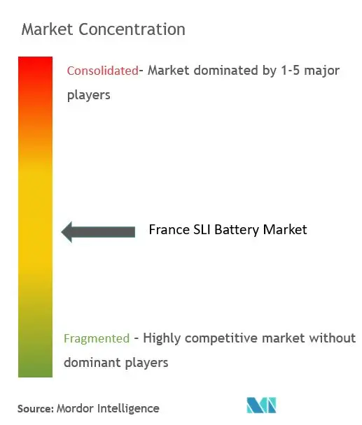 France SLI Battery Market Concentration