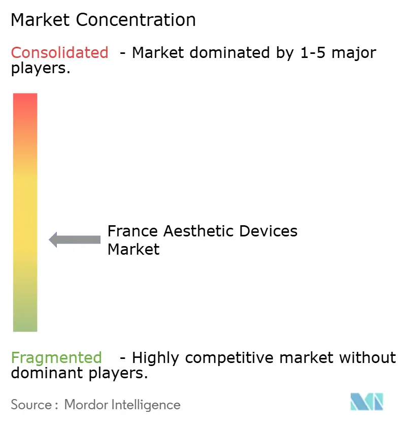 France Aesthetic Devices Market Concentration