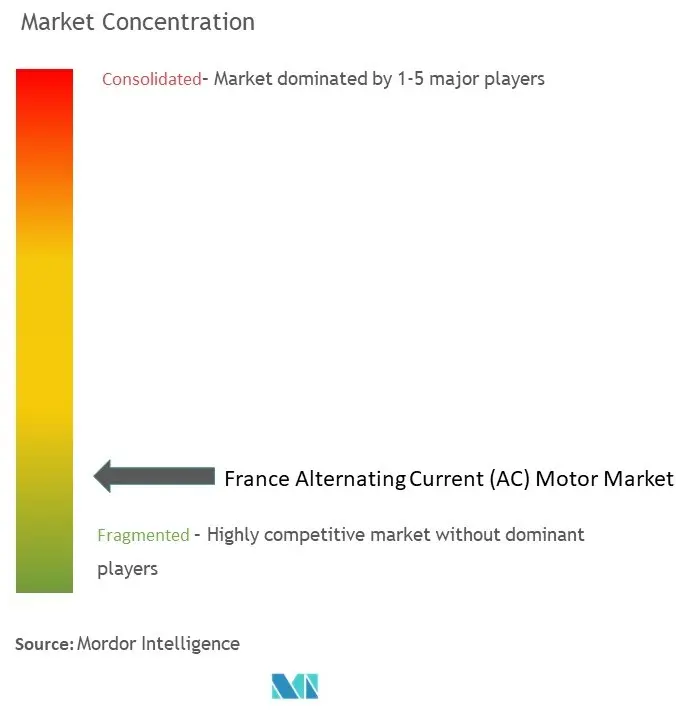 France Alternating Current (AC) Motor Market Concentration