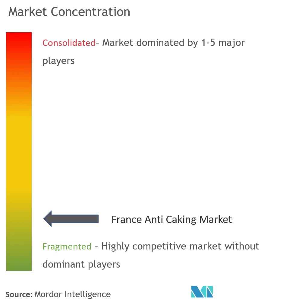 France Anti Caking Market Concentration