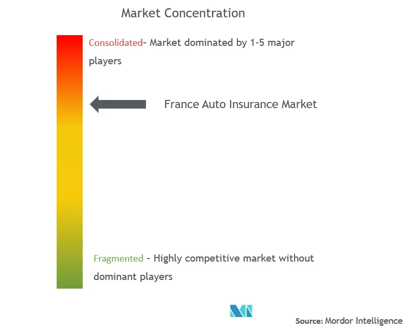 France Auto Loan Market Concentration