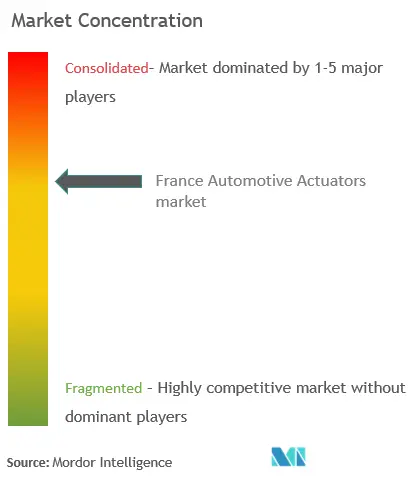 France Automotive Actuators Market Concentration