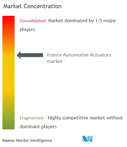 Actuadores automotrices de FranciaConcentración del Mercado