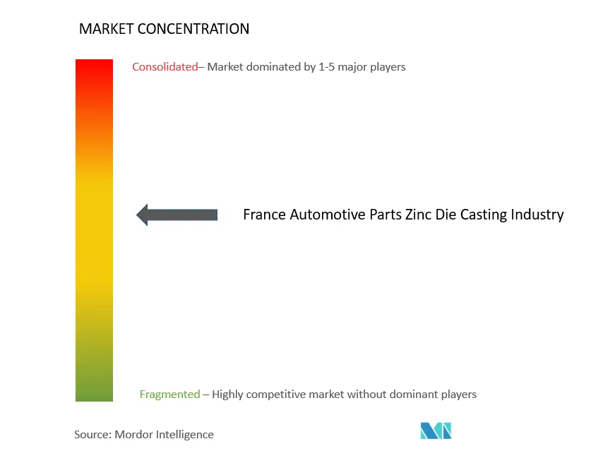 France Automotive Parts Zinc Die Casting Market Concentration