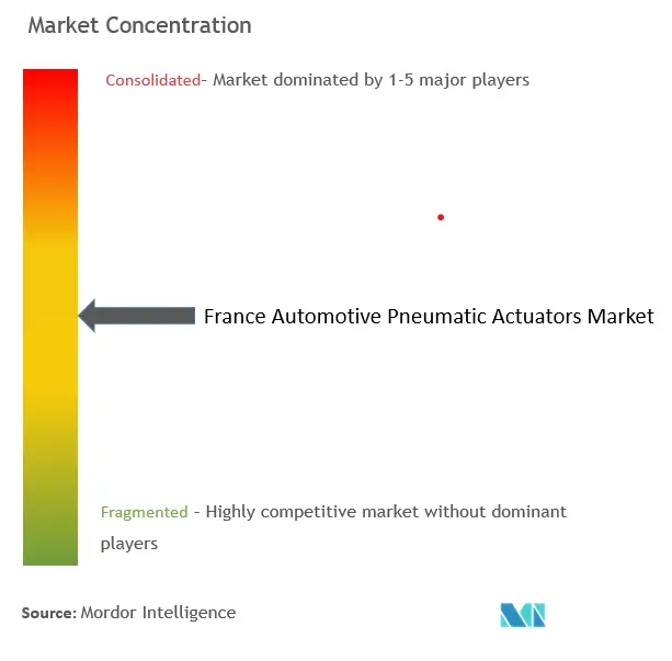 Concentration du marché des actionneurs pneumatiques automobiles en France