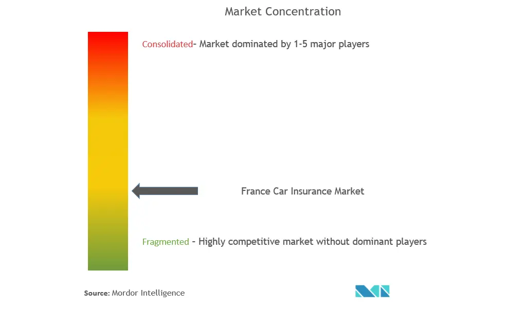 France Car Insurance Market Concentration