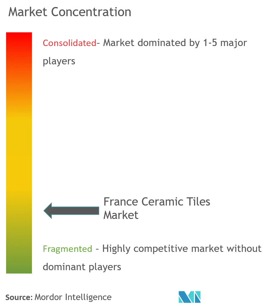 France Ceramic Tiles Market Concentration