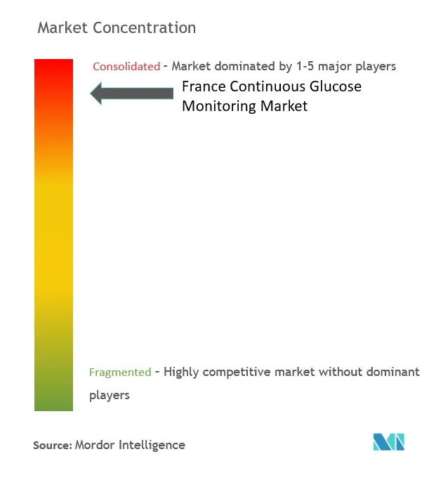 France Continuous Glucose Monitoring Market Concentration