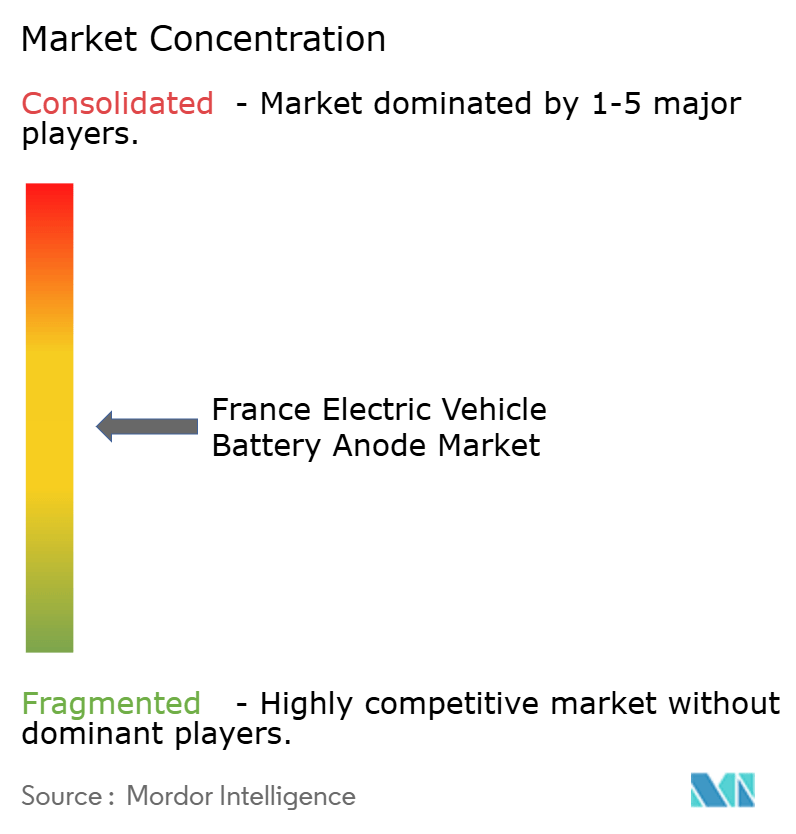 France Electric Vehicle Battery Anode Market Concentration