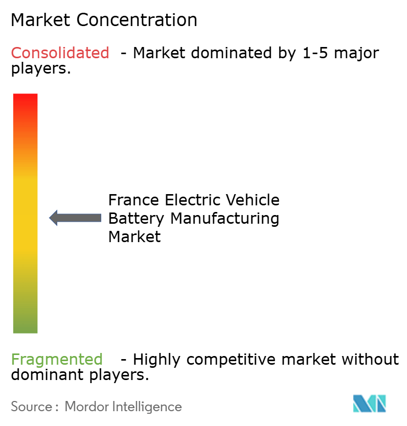 France Electric Vehicle Battery Manufacturing Market Concentration