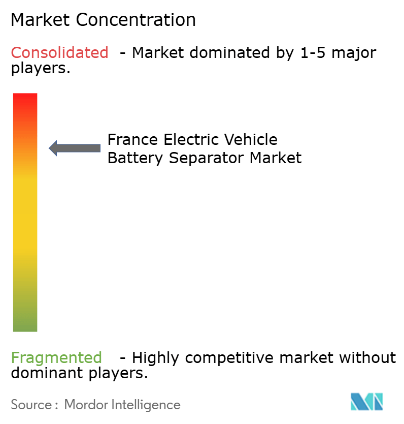 France Electric Vehicle Battery Separator Market Concentration